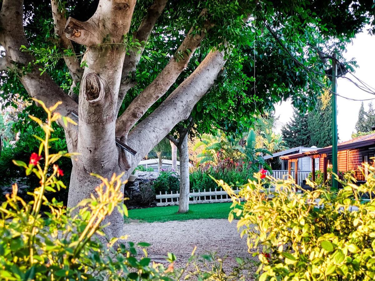 Etzel Tami Hospitality Hotel Neot Golan Buitenkant foto